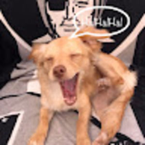 Meet your Posher, Danny